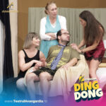 Ding-Dong (14)